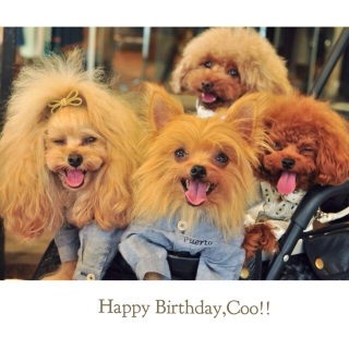 Happy Birthday,Coo!!